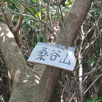 🏷️🏷️🏷️☝️は奥に...
何故?