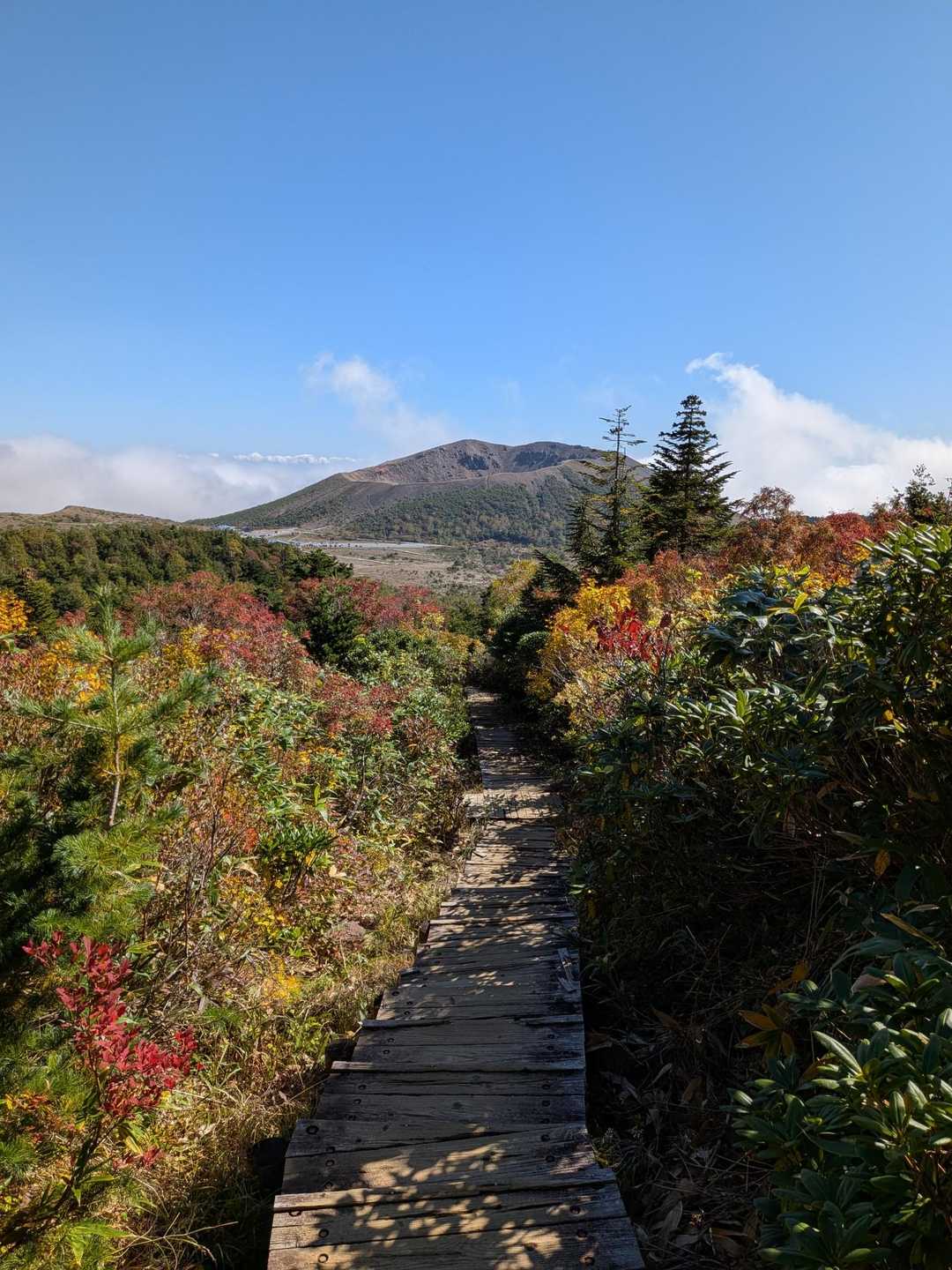 浄土平ビジターセンター-東吾妻山 周回コースの写真