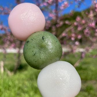 やまよりだんご