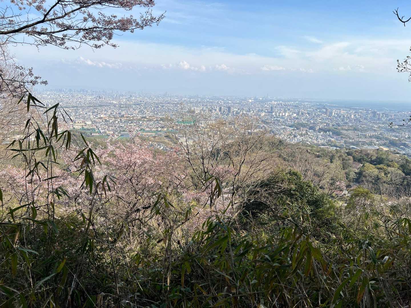 絶景だ。