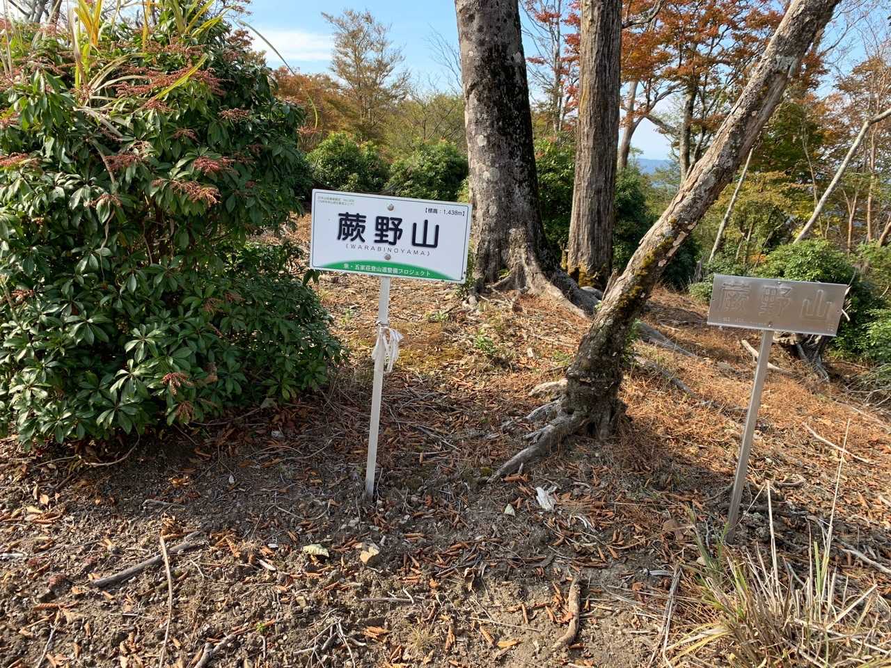 蕨野山（わらびのやま）
普通に知らない字です。
