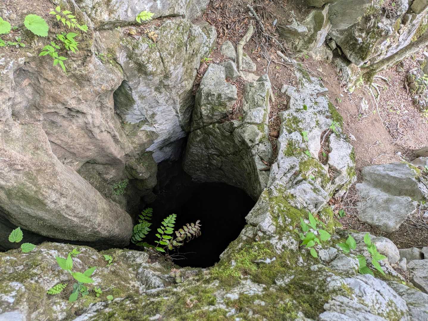 少し覗いてみても真っ暗😳
深いのか意外と浅いのか…？