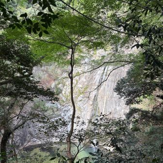 正面から見るより階段の途中から見た方が美しい気がします。