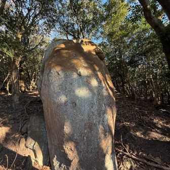 普通の岩だけど、この岩なんか感じました✨