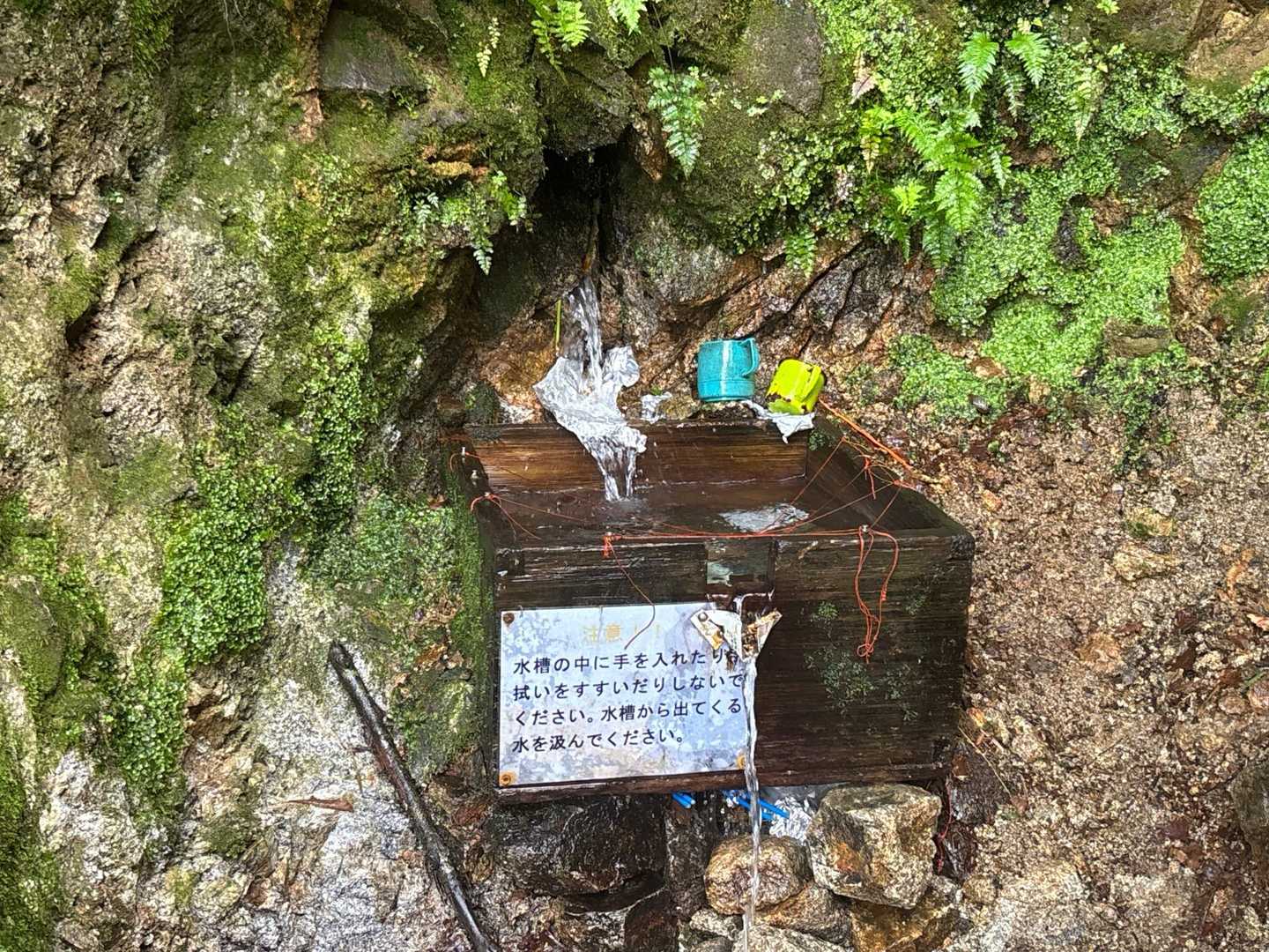 地蔵山の水場

めっちゃしゃっこくて美味い😋
私の中の水場ランキングベスト5に入る

ちなみに本山のテント場の水場も
ランキングベスト5に入る