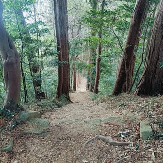 下りますが、結構急じゃない？