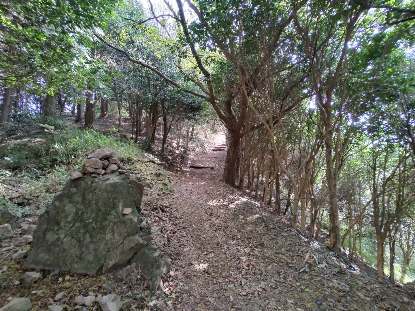 最後まで良い登山道。
