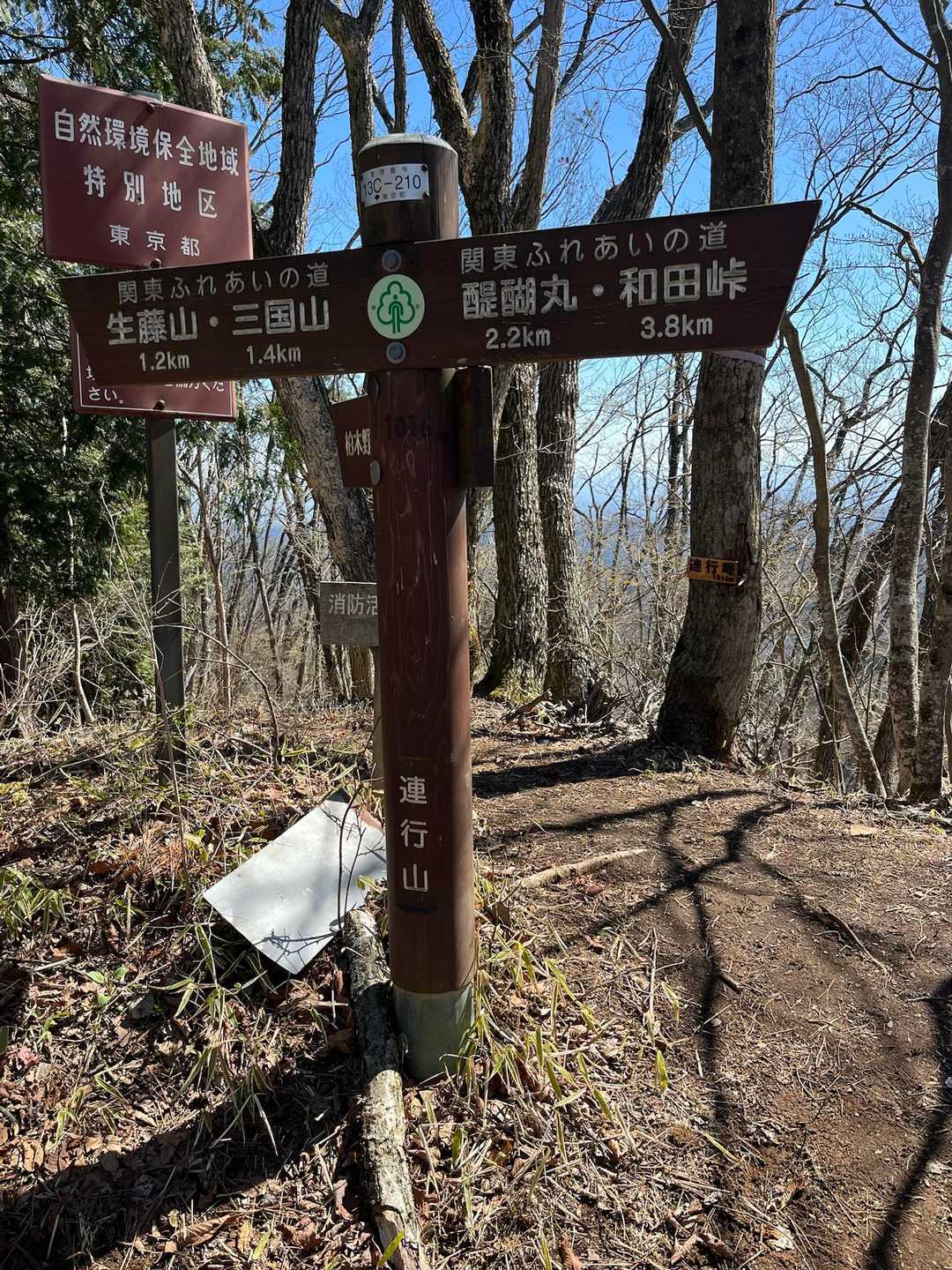 上川乗バス停-浅間峠-栗坂峠-生藤山-連行峰-和田バス停 縦走コースの写真