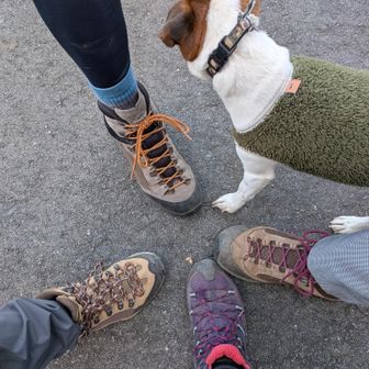 4人👣👣👣👣＋🐶ワンちゃんで
　　スタート
初めましての🐶トニー君と…