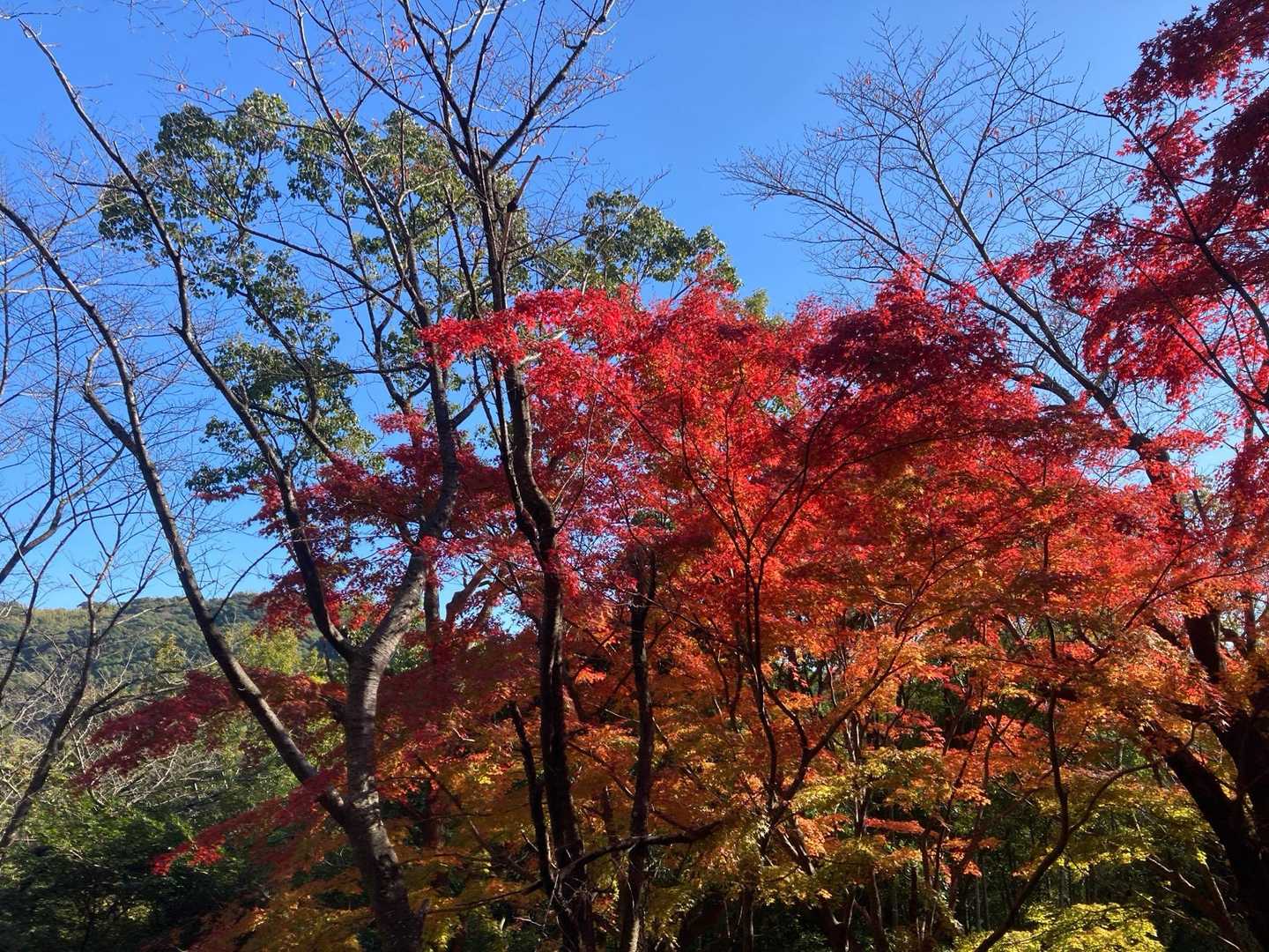女山 往復コースの写真