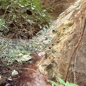 右の壁登って見たけど怖かった😱