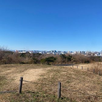 東の小山はこんなに開けていて、かつ東京湾も富士山もよく見える👀
ここでゆっくりピクニックしたら気持ち良さそう❗️