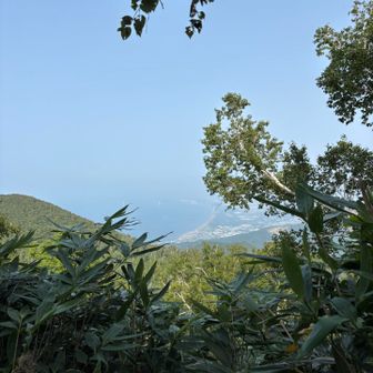今日は眺望は霞んでました