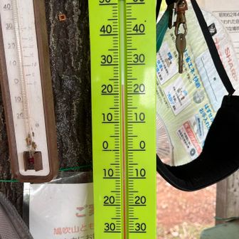 気温は23℃
今日の最高気温は30℃💦