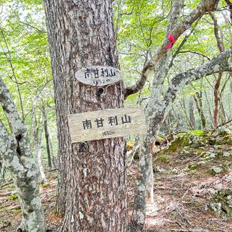 南甘利山は眺望ありませんでした
ピストンで甘利山へ戻りましたが、笹池いう場所から周回できるのでそっちのルートでもよかったかもです。