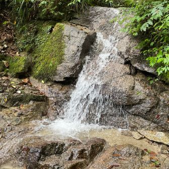 金剛山の水はキレイ✨