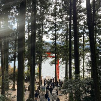 降って行きます。あの鳥居の前で写真撮りたいな…⛩️