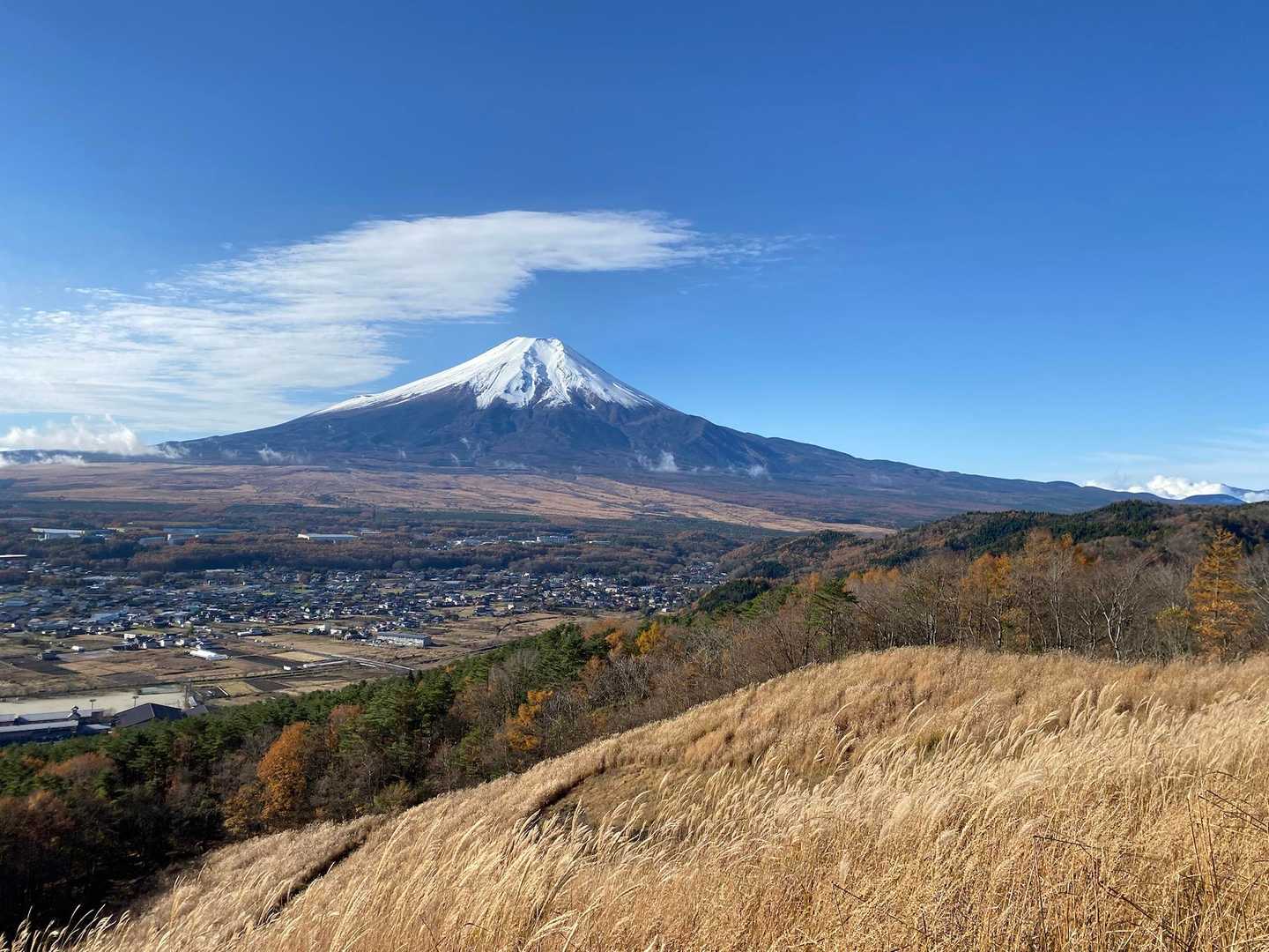 不動湯～鳥居地峠～高座山～杓子山～不動湯の写真
