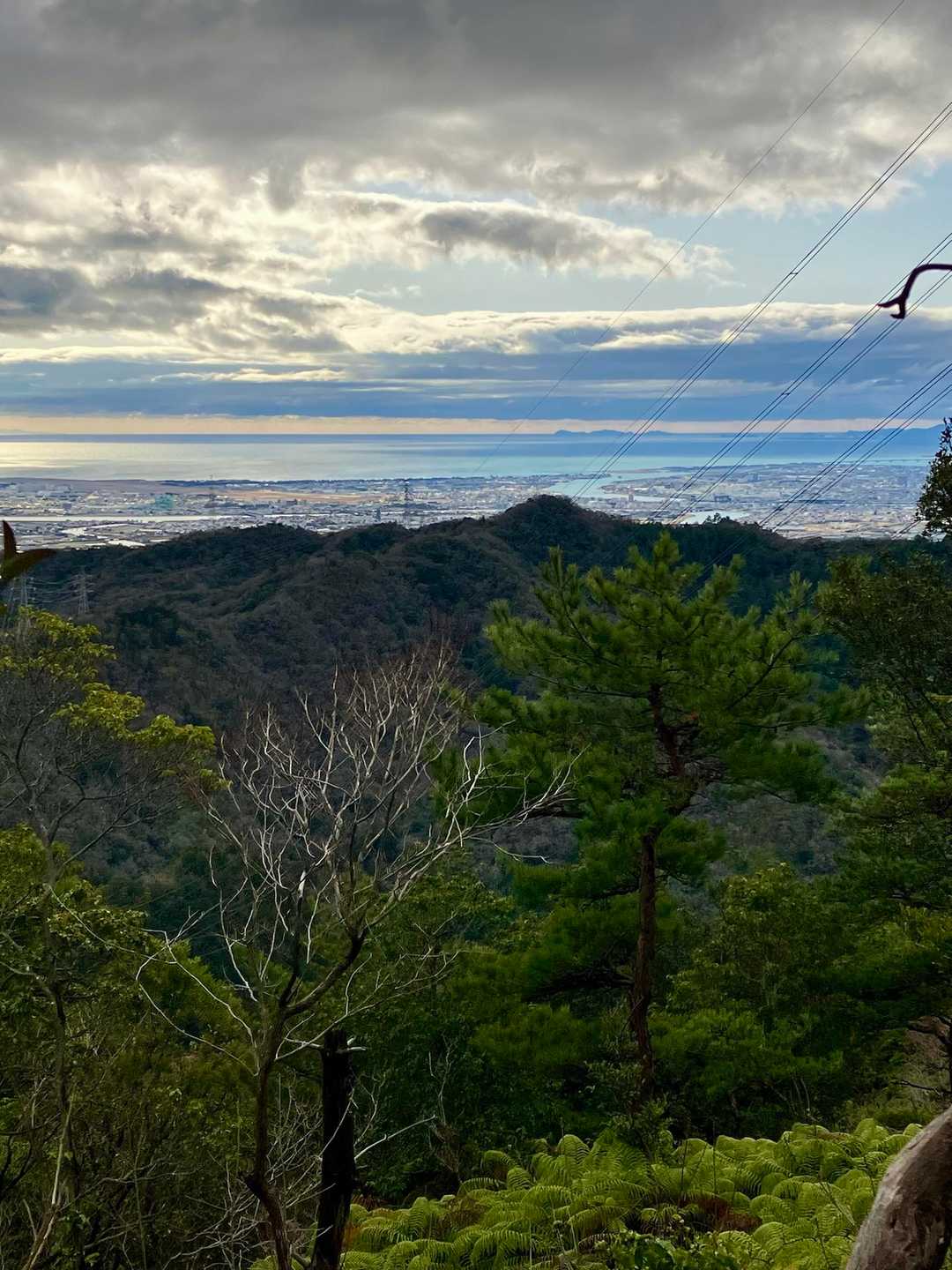西尾根コース登山口-剣ヶ峰 往復コースの写真