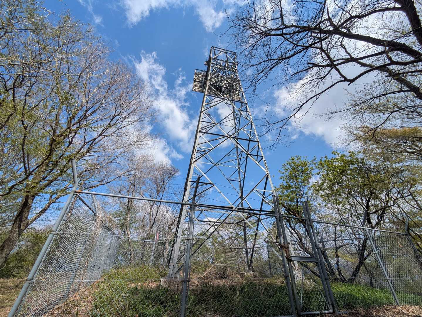 山形仙 往復コースの写真