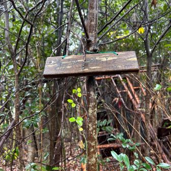 山名標識はあり。雨で濡れているせいか、よく見えないけど…