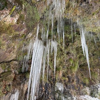 滝の裏のつらら