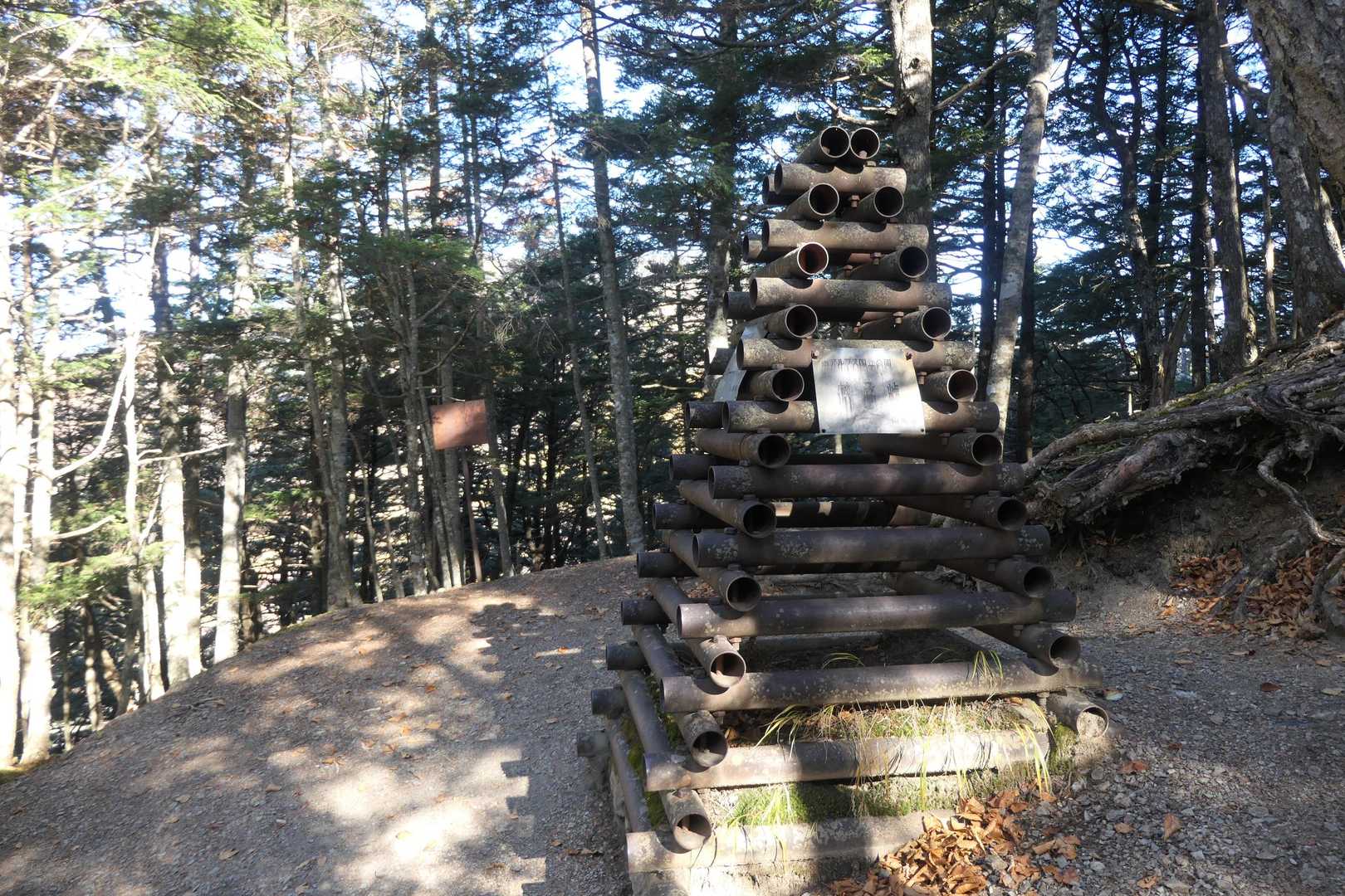 杖立峠に到着
