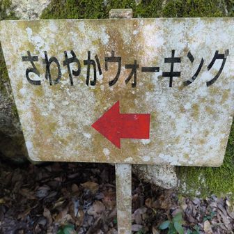 このコースはさわやかウォーキングコースとして皆さん楽しまれて歩かれているようです!