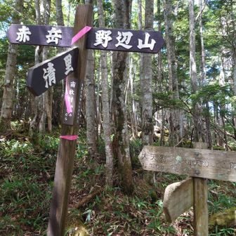 清里方面に下ります