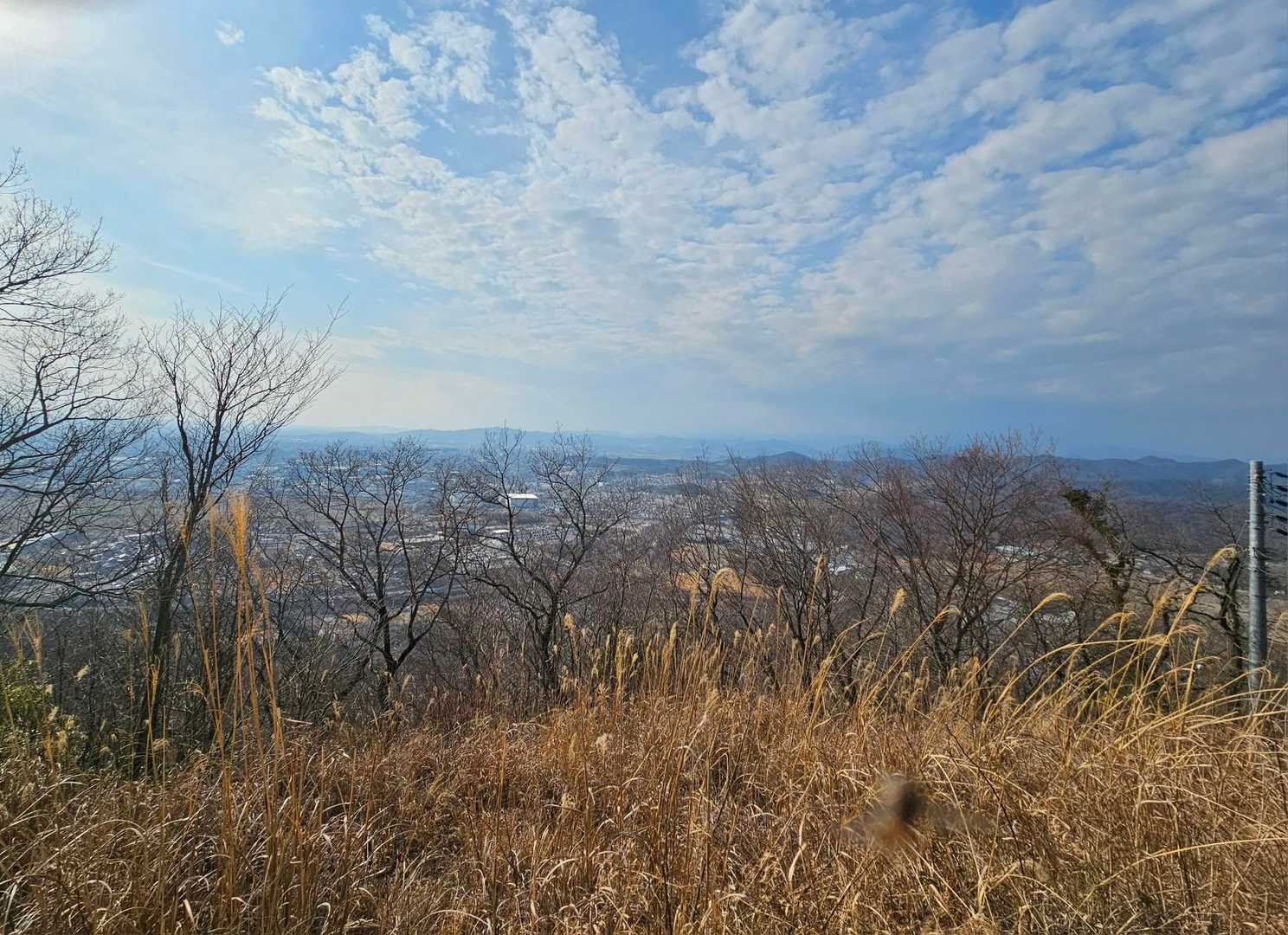 今日は靄ってます