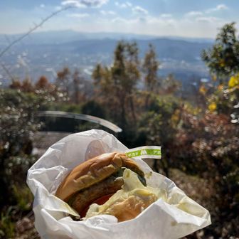 はらぺこだ！

近くにあったモスに立ち寄り
アボカドなんとかバーガーでランチ🍔

ひっさしぶりのモスバーガー