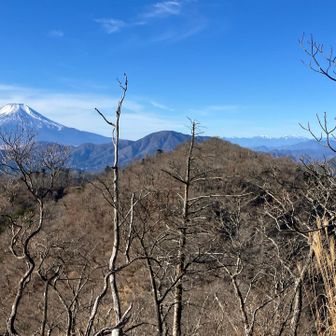 富士山と北岳日本のワンツーだね。