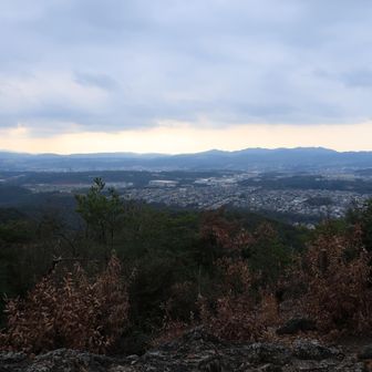 山頂より桜が丘の町並みを一望します