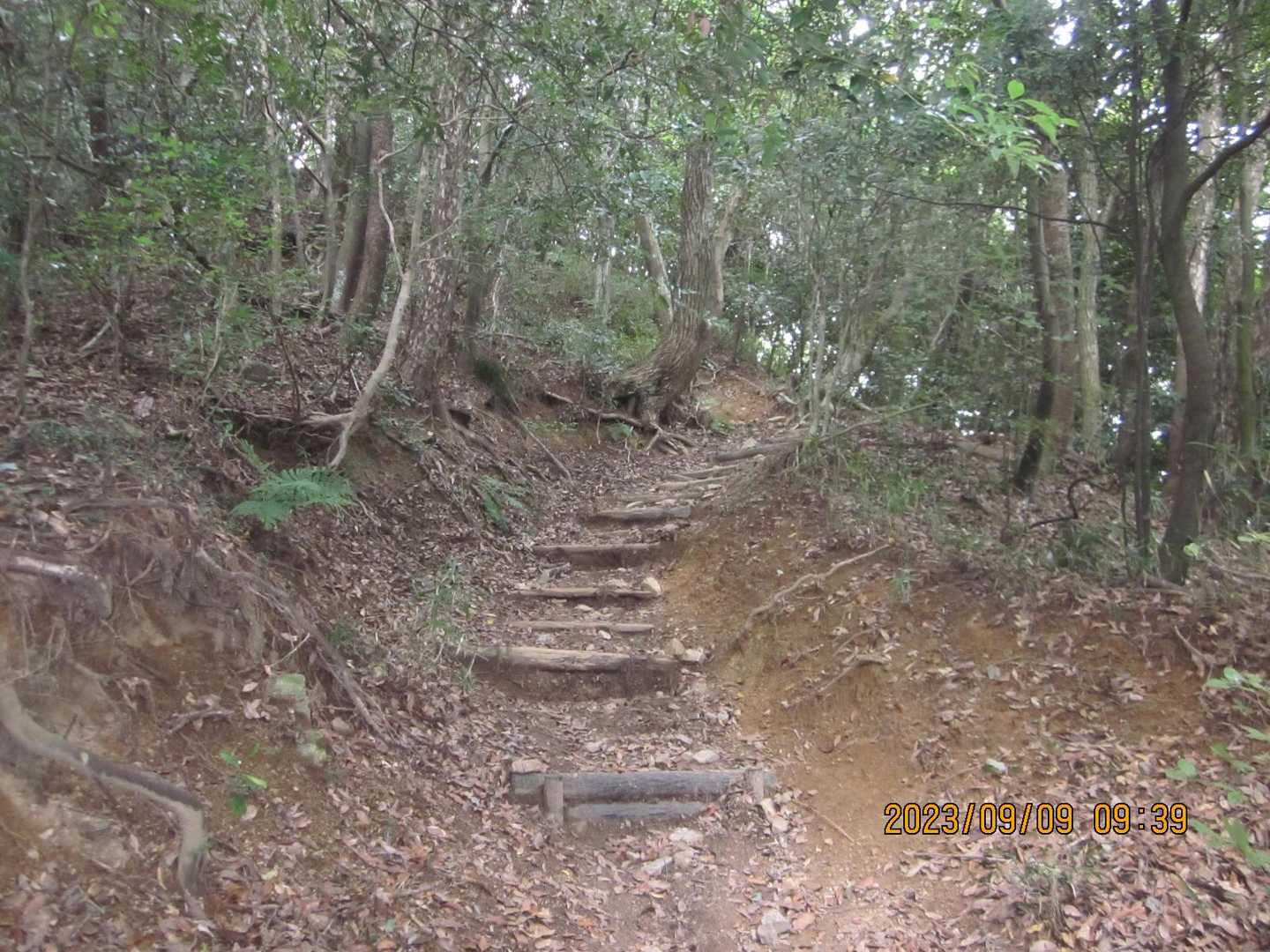 山道に入ります