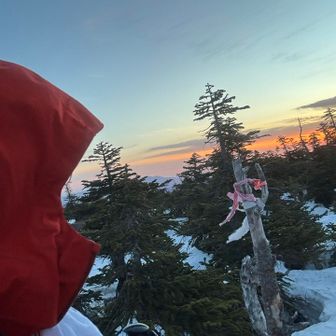 小さな山頂表札を付けるつもりだったけど、忘れました。