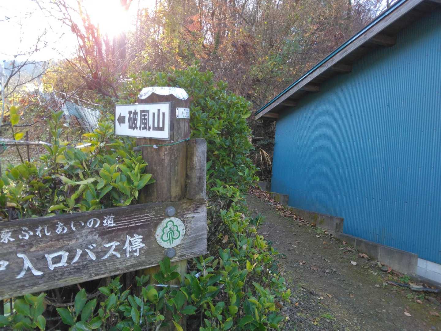 こちらから