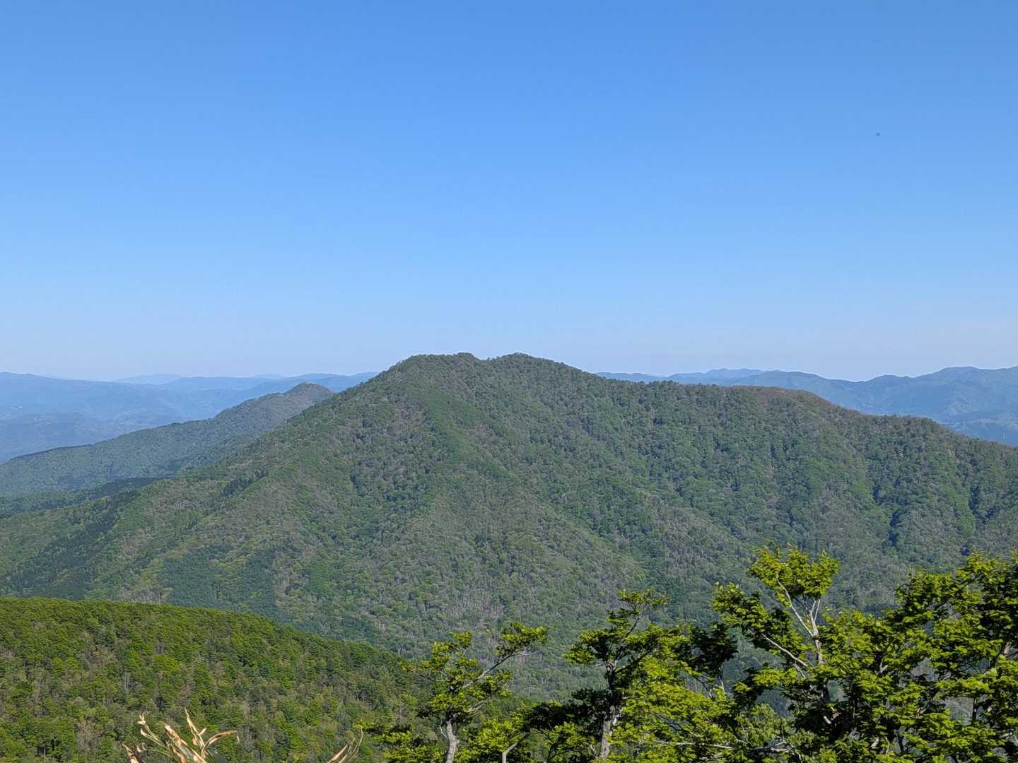 あっちは人気の上蒜山。😅