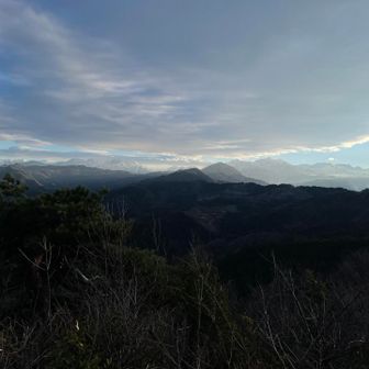 これはこれで綺麗