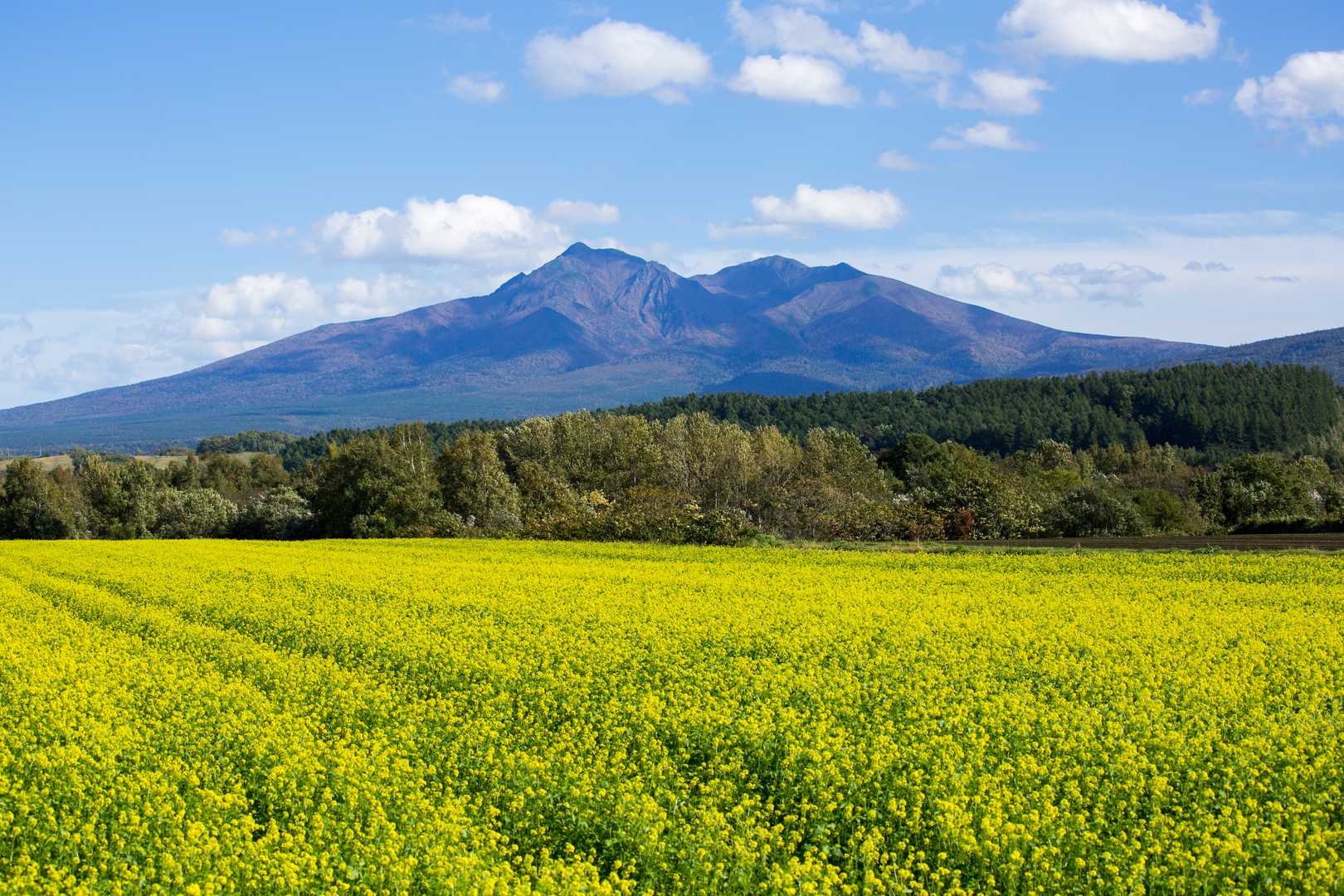 斜里岳の写真