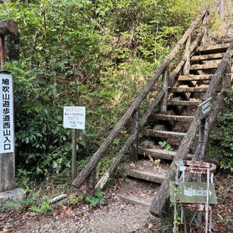 林道を歩き、ここから山道へ