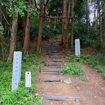 最後かな🙏