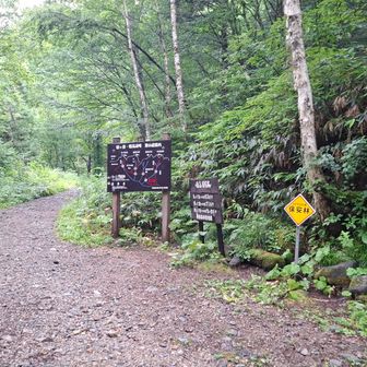 奥穂高岳の白出沢登山口👉