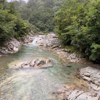 とてつもなく不安定な吊り橋。復旧してくれた人に感謝。とりあえずここまでと思って下山頑張ったからこの後思ったより道がハードで心折れかけた。
