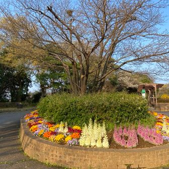 金沢動物園正門🪷