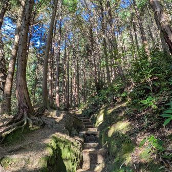 好みのお山な気がします😁