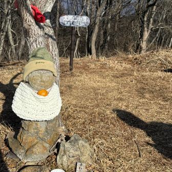 とうちゃこ👏🍊
今年もよろしくお願いします❤︎