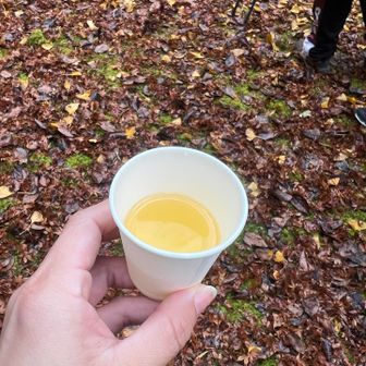 ゆず茶のおもてなしをしれっといただく🙏
おいしい😋