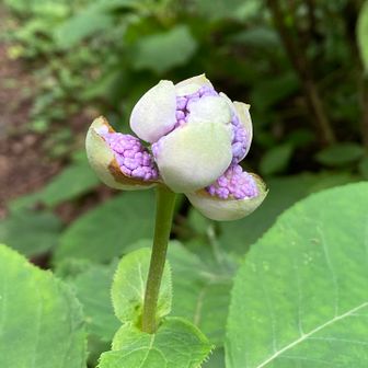 中はそれぞれ区切られているみたい