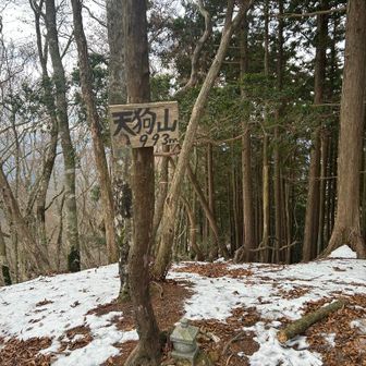 やっと来た　天狗山