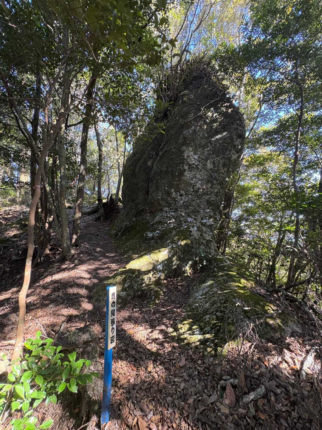 鷹の見張り岩🪨